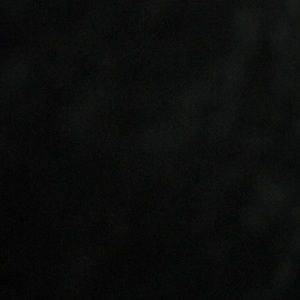 Meet your Posher, Phillip